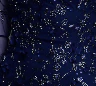 Jewel Neck Cocktail Dress - Image 3