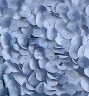 Petal Cocktail Dress - Image 3