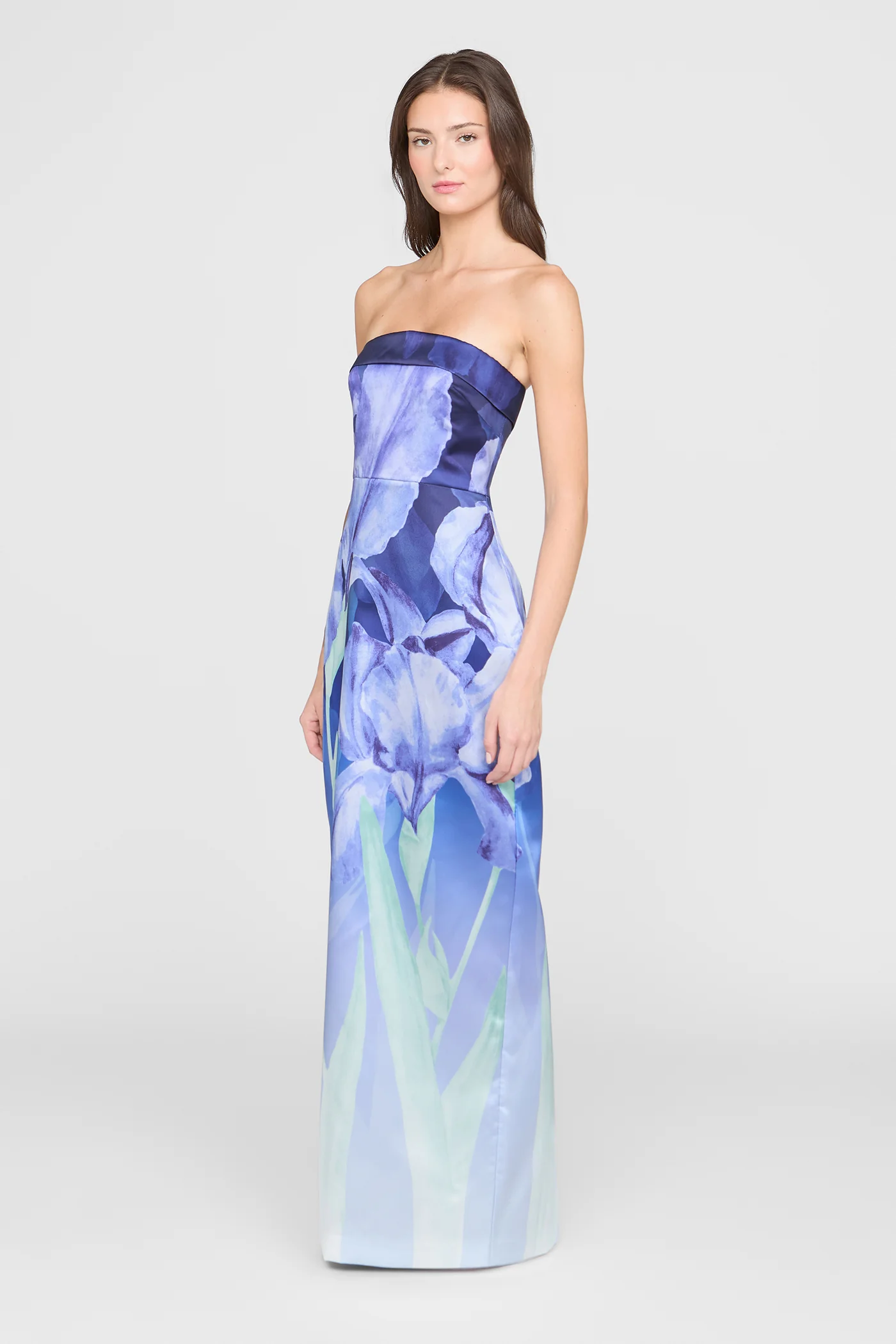 Cyrilla Strapless Column Gown - Image 4