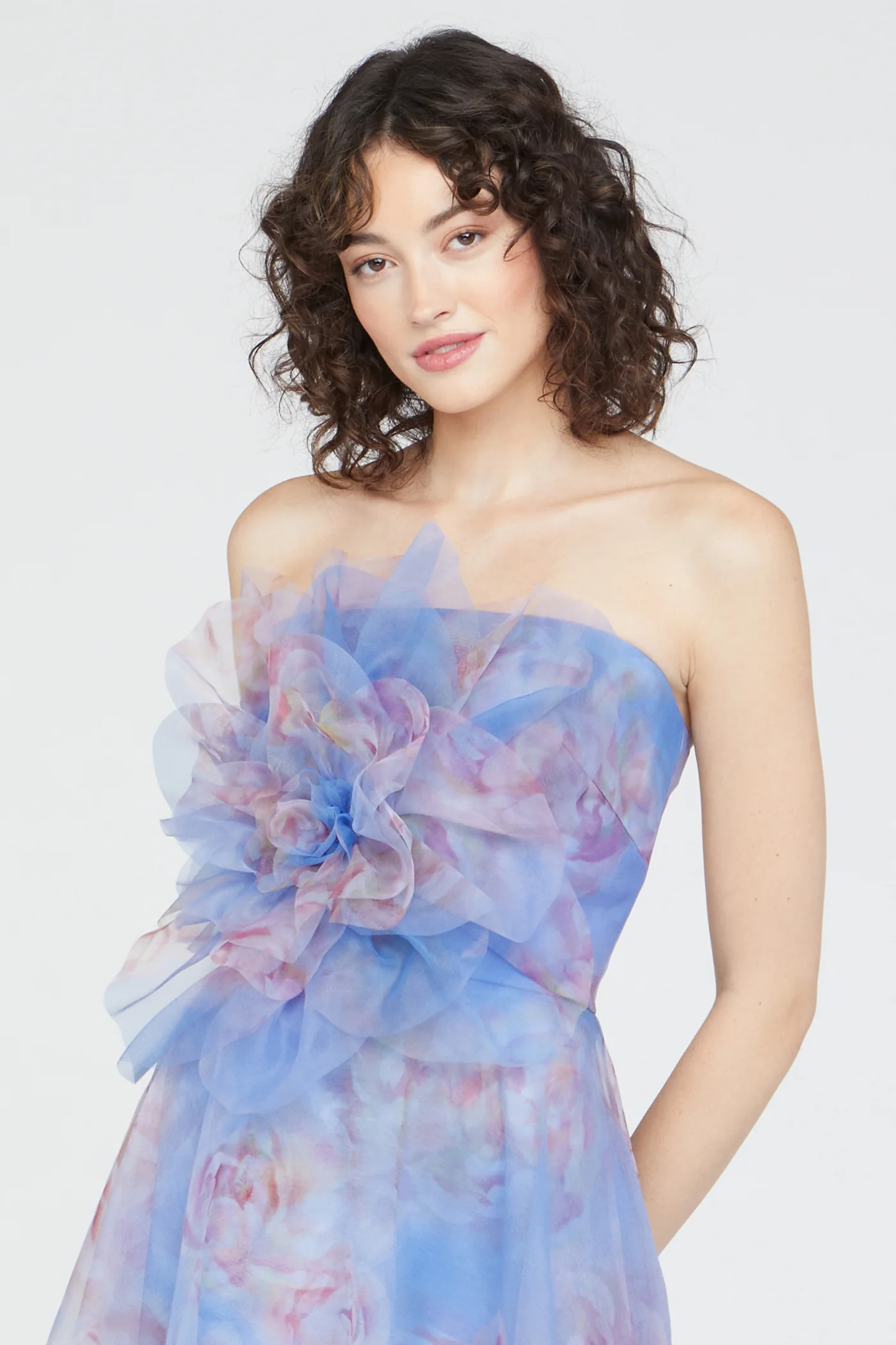 Kimberly Straples Organza Gown - Image 4