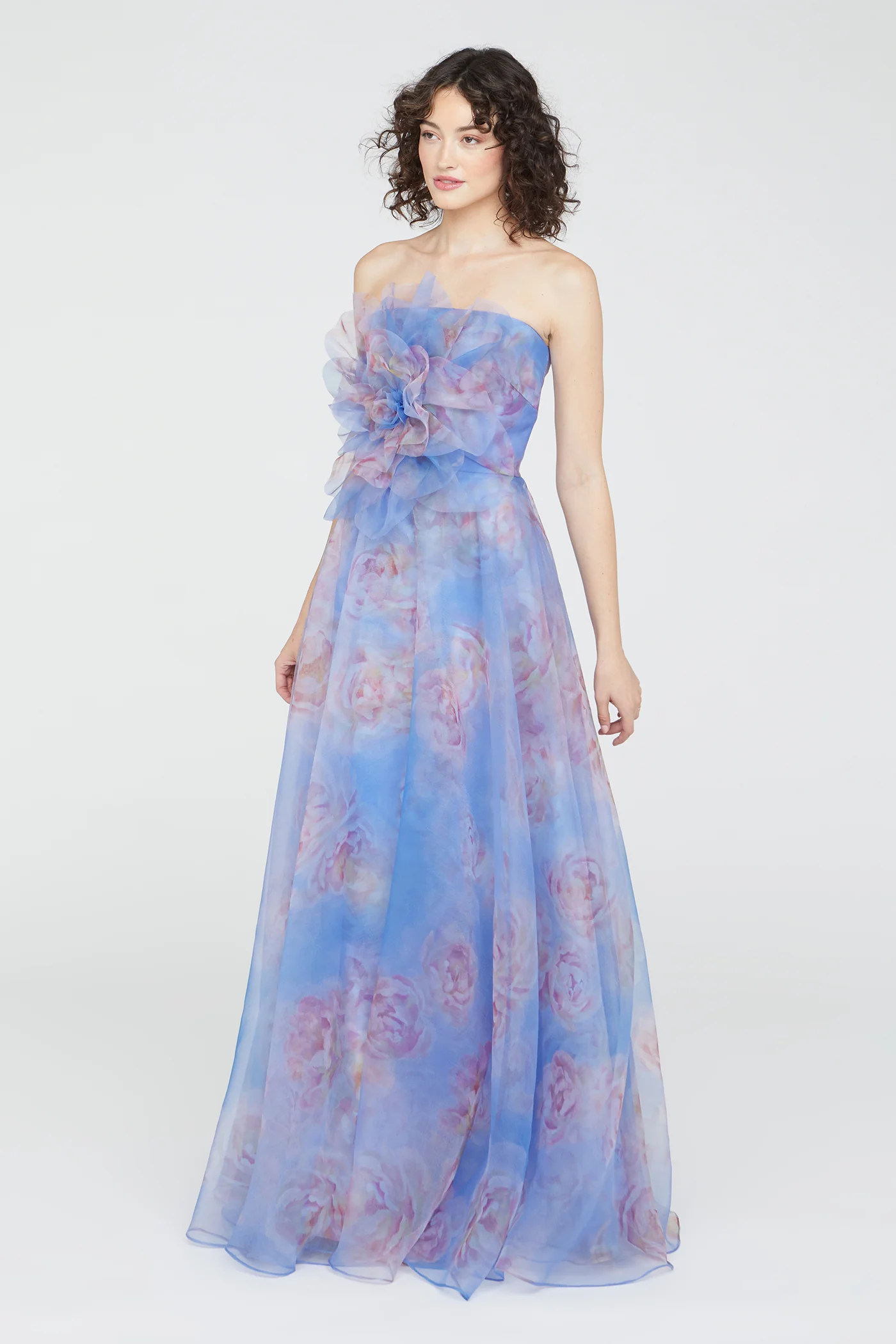 Kimberly Straples Organza Gown - Image 6